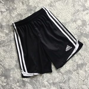 Adidas | CLIMACOOL Shorts